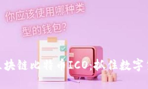 透徹解析區塊鏈比特幣ICO：抓住數字貨幣的機遇