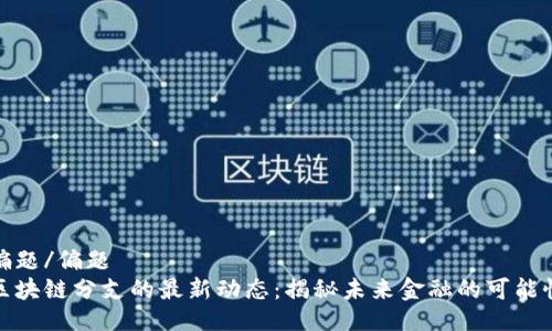 偏題/偏題
區塊鏈分支的最新動態：揭秘未來金融的可能性