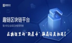區塊鏈里的“狗屎幣”：騙局還是機遇？