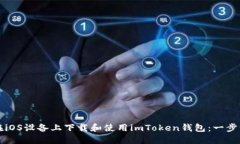 如何在iOS設備上下載和使用imToken錢包：一步步指